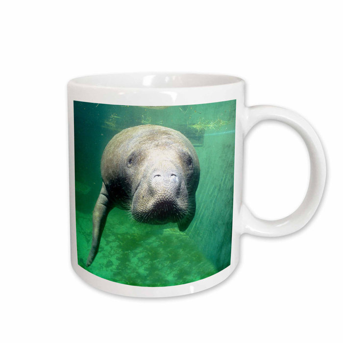 Green coffee florida